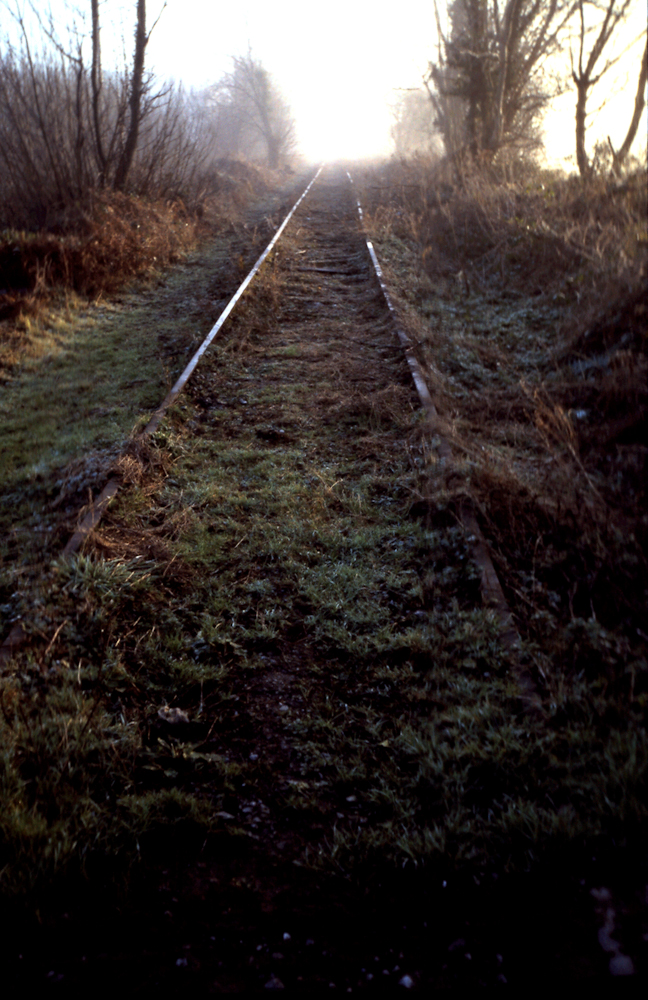 Disused Railway, Midleton