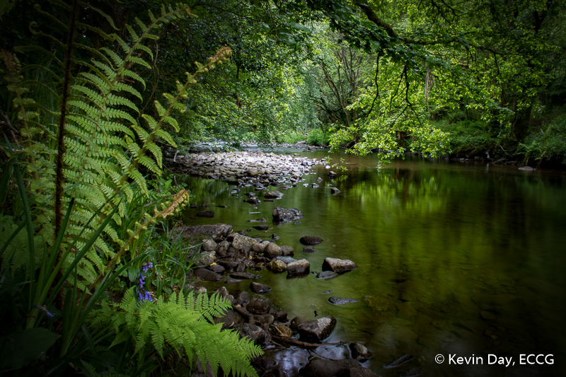 Nire Valley 29-5-16 KDay-15