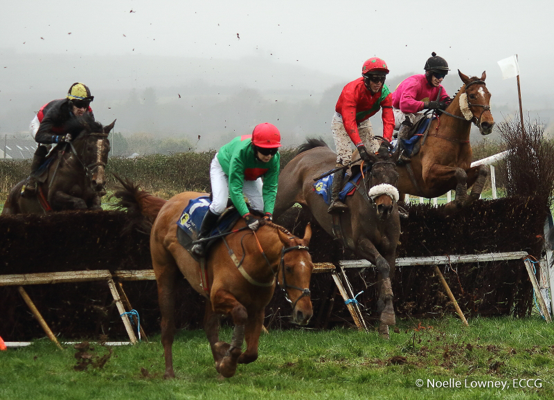 Ballyvodock p2p 05-02-17 NLowney-8